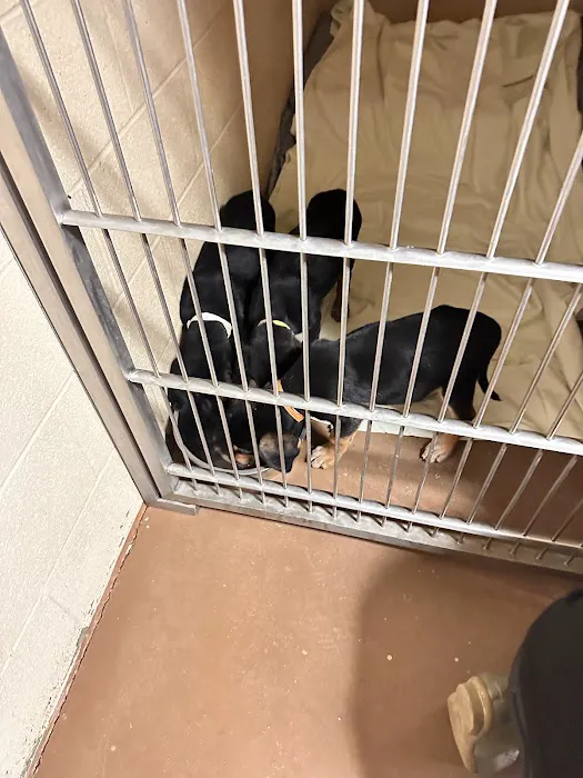 Limestone Veterinary Clinic 10