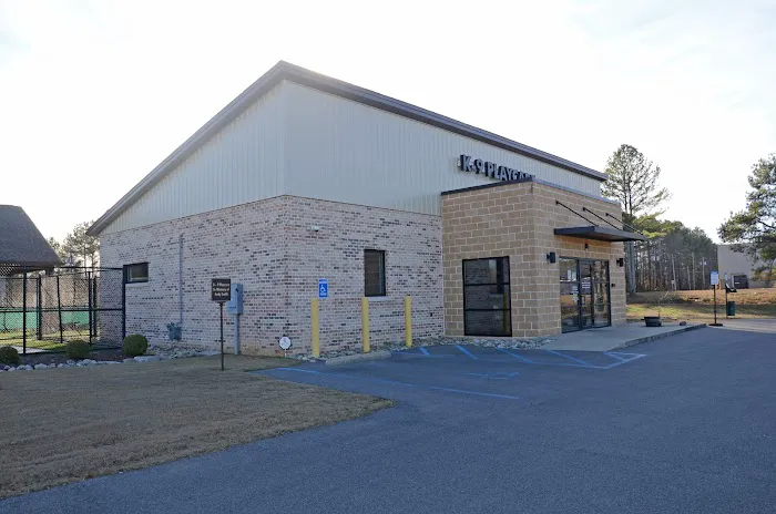 Town & Country Animal Hospital 1