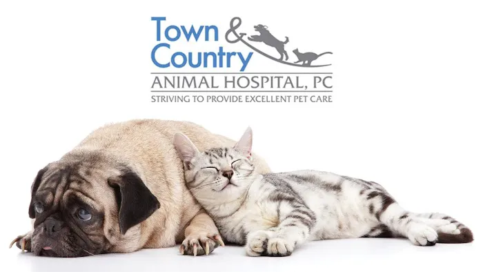 Town & Country Animal Hospital 9