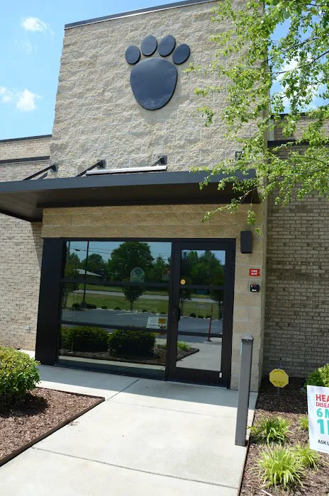 Town & Country Animal Hospital 4