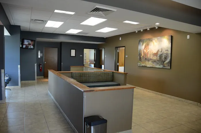 Town & Country Animal Hospital 2