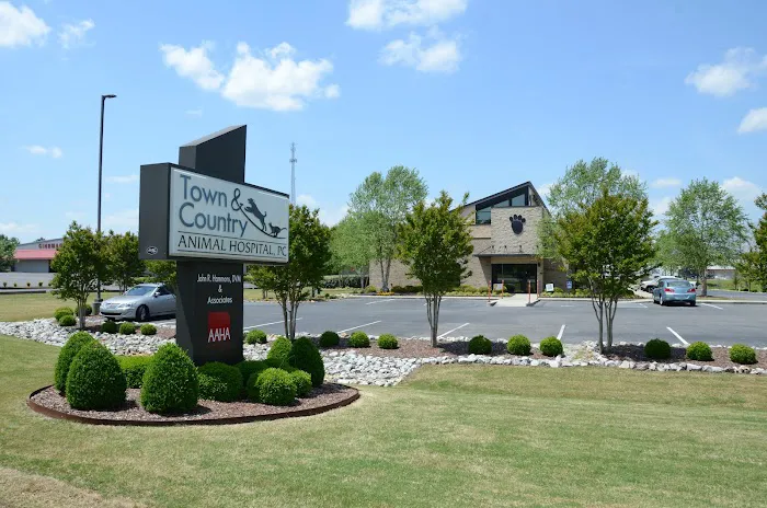 Town & Country Animal Hospital 5