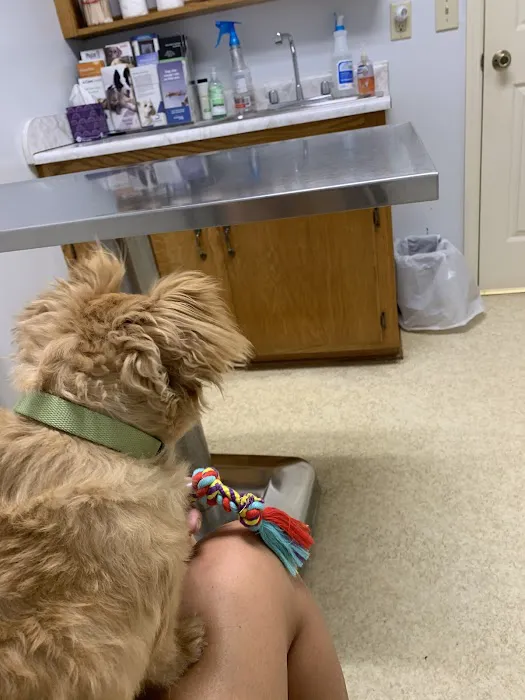 Athens Animal Hospital 3