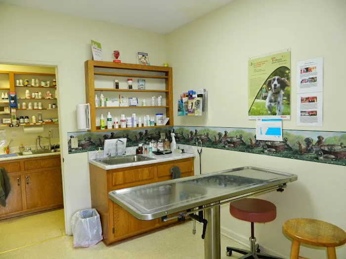 Athens Animal Hospital 8