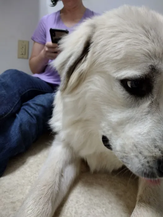 Athens Animal Hospital 7