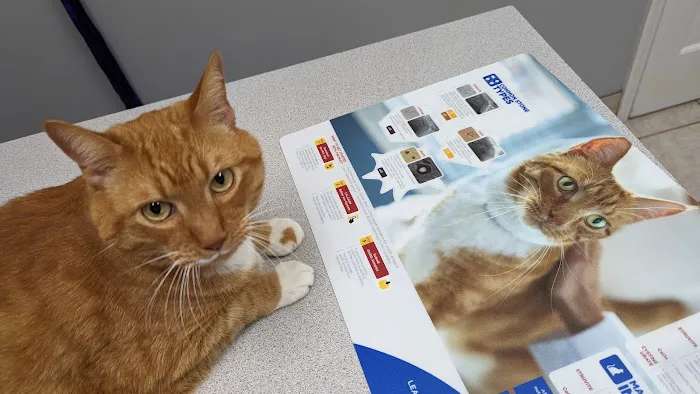Companion Animal Care 9