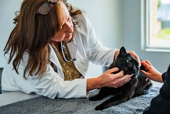 North Alabama Veterinary Emergency & Specialty 8