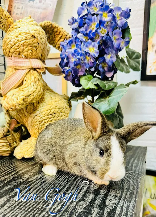 Aura Rose Rabbitry 7