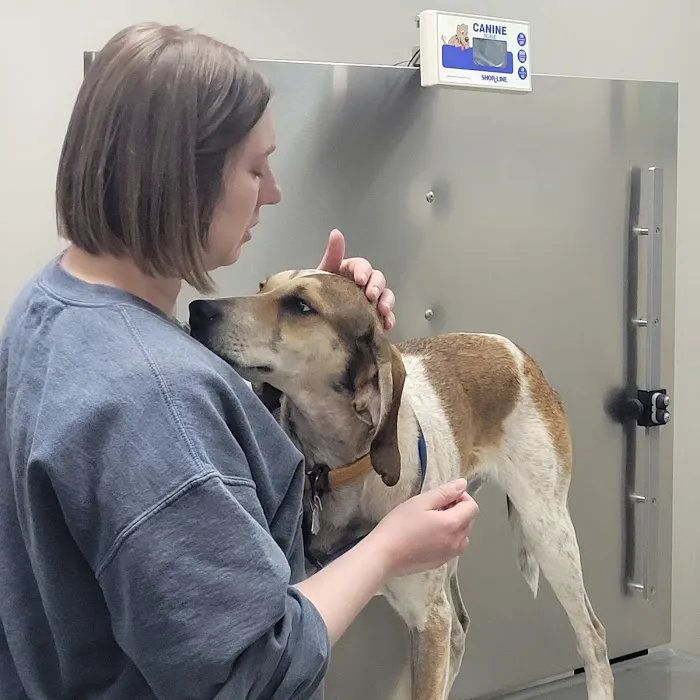 Madison Veterinary Hospital 10