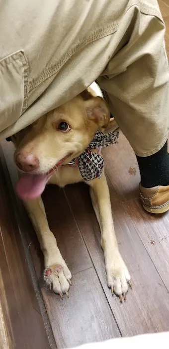 West Madison Veterinary Hospital and Pet Resort 1