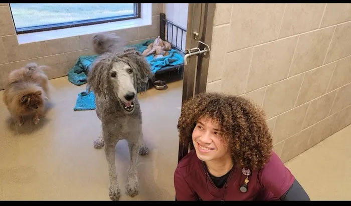 West Madison Veterinary Hospital and Pet Resort 2