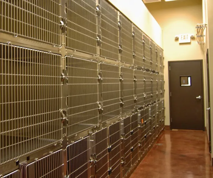 West Madison Veterinary Hospital and Pet Resort 3