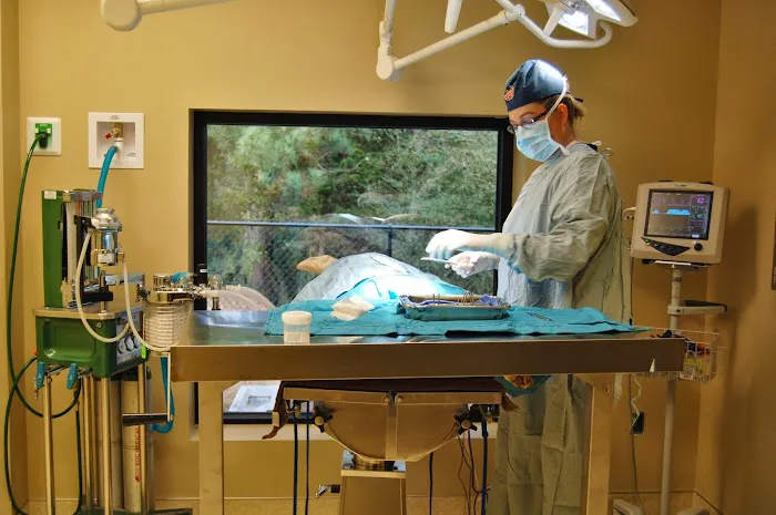 West Madison Veterinary Hospital and Pet Resort 7