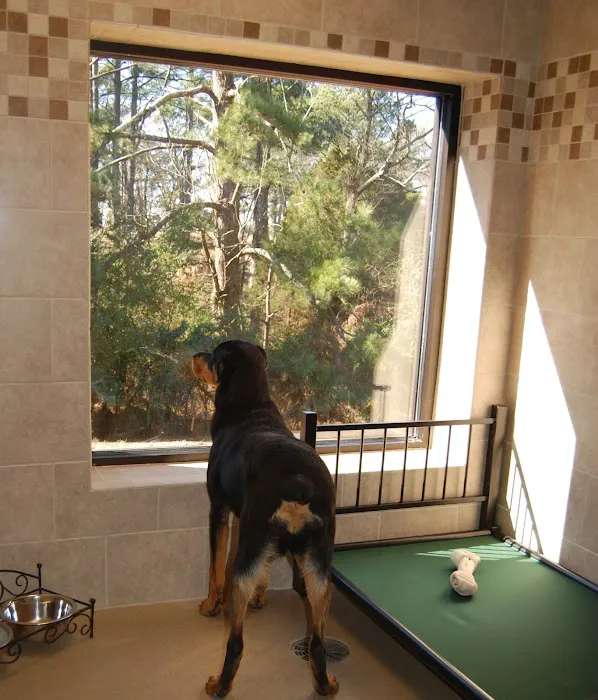 West Madison Veterinary Hospital and Pet Resort 9
