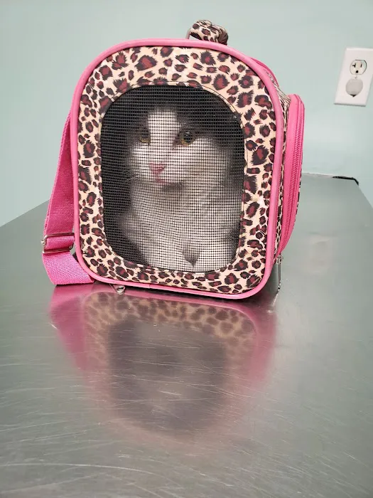 Pet-Agrees Wellness Services 7