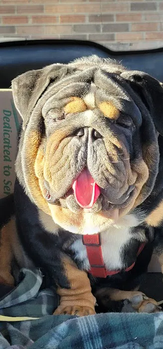 Pet-Agrees Wellness Services 5