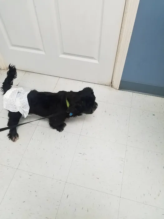 White County Veterinary Hospital 12