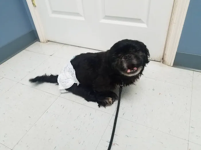 White County Veterinary Hospital 12
