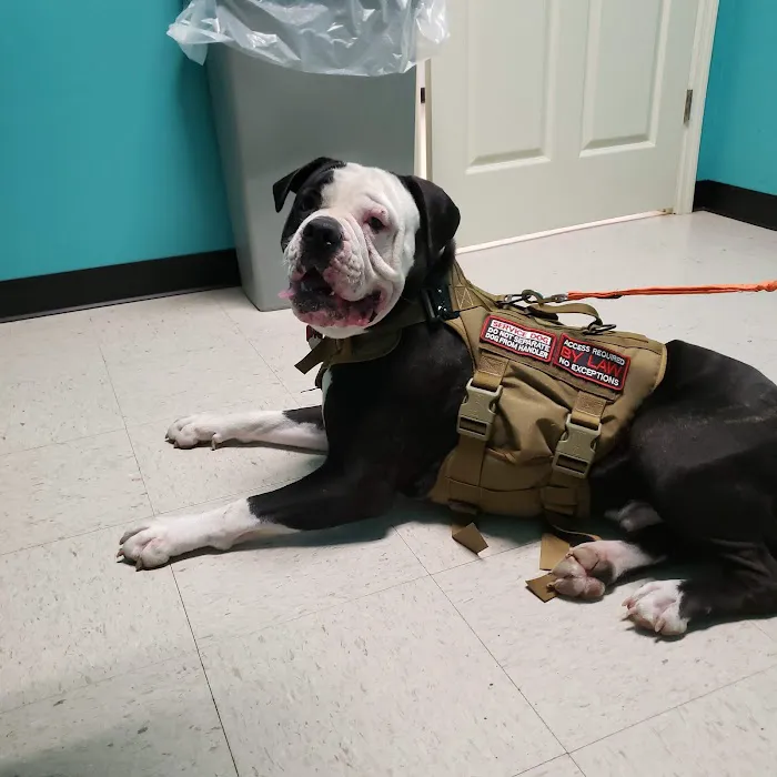 Moses Animal Clinic 7
