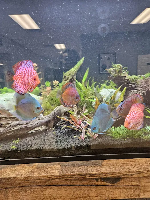 Moses Animal Clinic 6