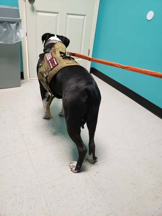 Moses Animal Clinic 4