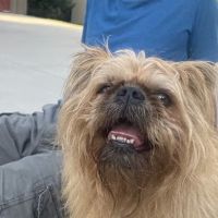 Boyd Veterinary Clinic ico