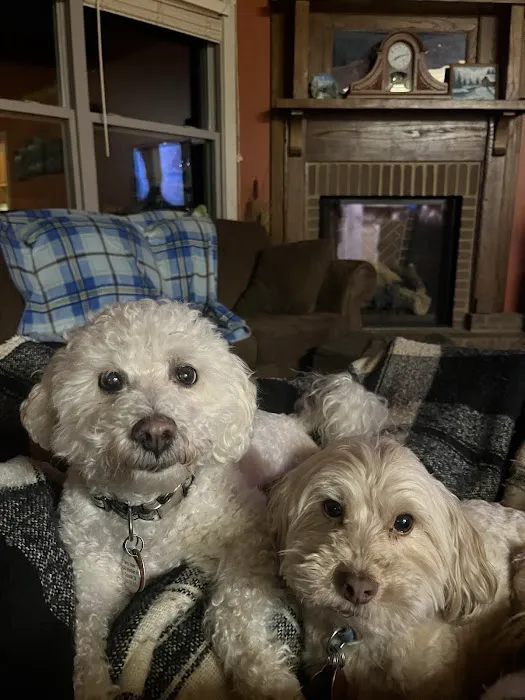 Best Friends Veterinary Hospital 2