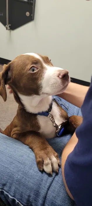 Best Friends Veterinary Hospital 1