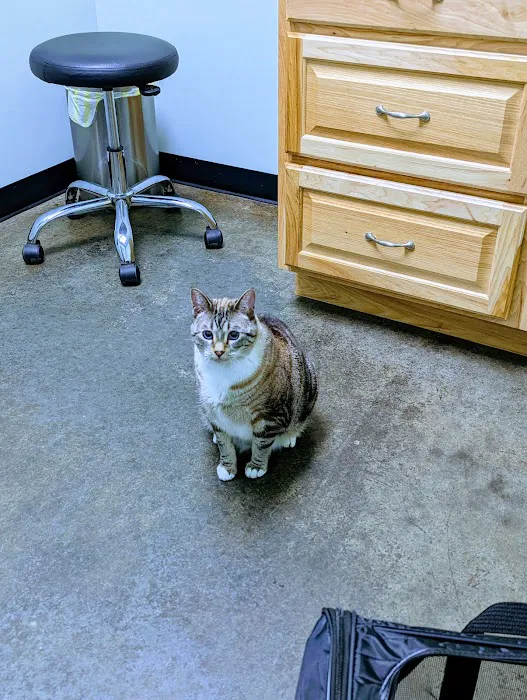 Best Friends Veterinary Hospital 6