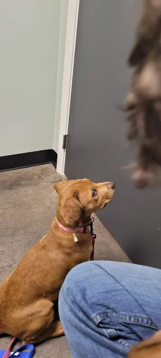 Best Friends Veterinary Hospital 9