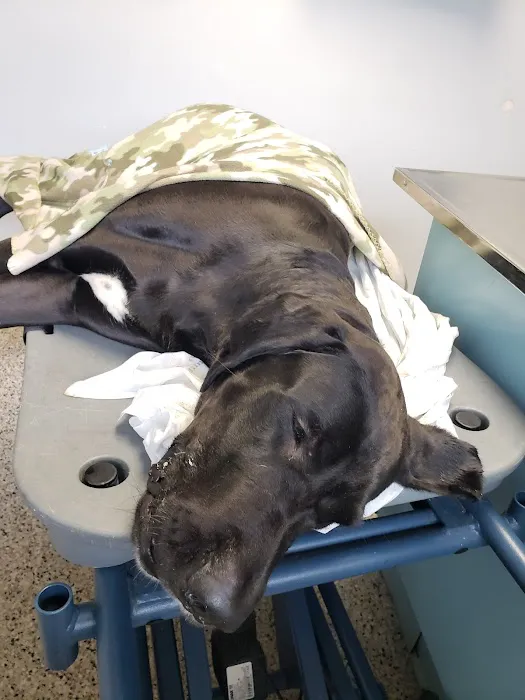 Copeland Veterinary Hospital 9