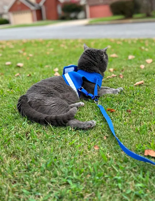 Rocket City Veterinary Hospital 3