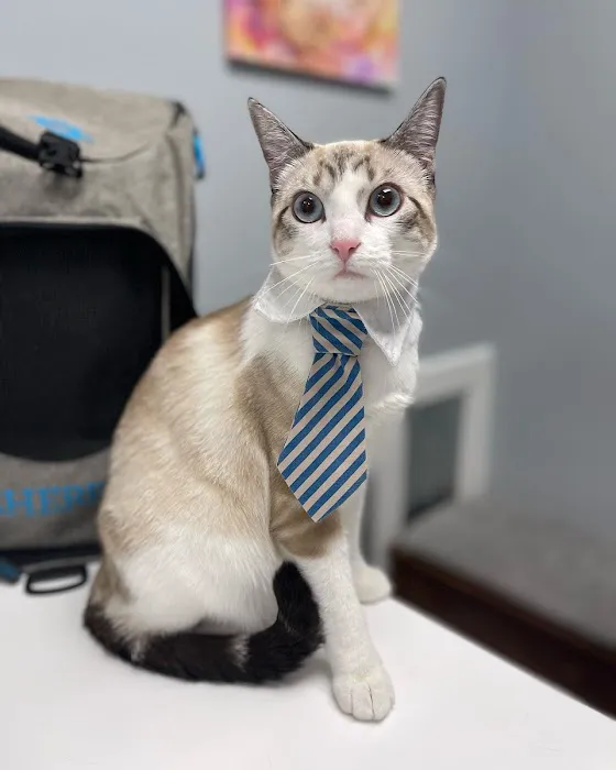 Rocket City Veterinary Hospital 10