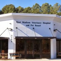 Marlene Mixon DVM ico