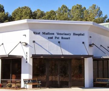 Marlene Mixon DVM
