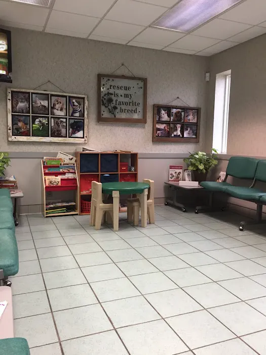 VCA Boulevard Animal Hospital 6