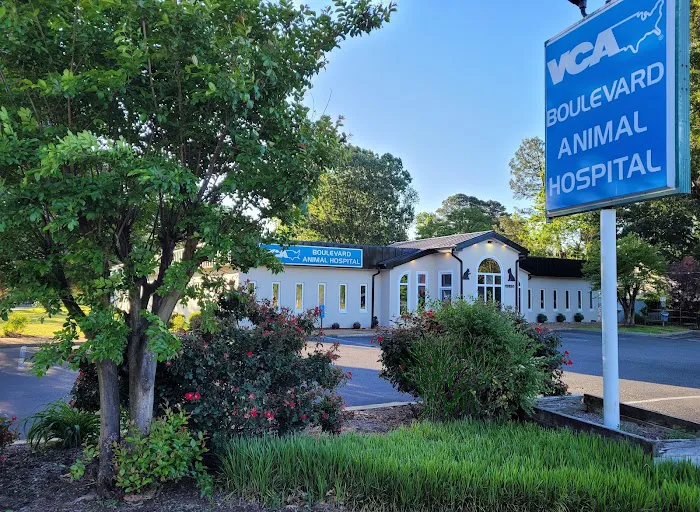 VCA Boulevard Animal Hospital 2