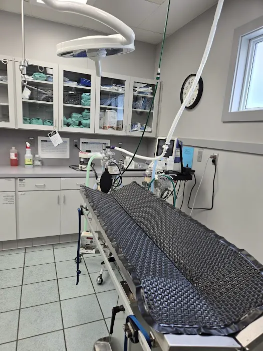 VCA Boulevard Animal Hospital 9