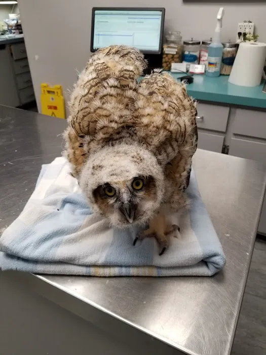 Warwick Animal Hospital 5
