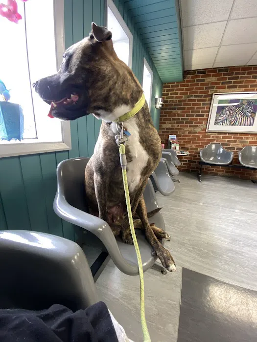 Warwick Animal Hospital 4