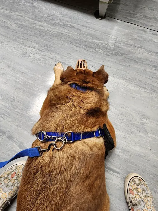 Warwick Animal Hospital 3