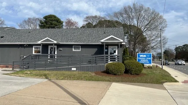 VCA Todds Lane Animal Hospital 4