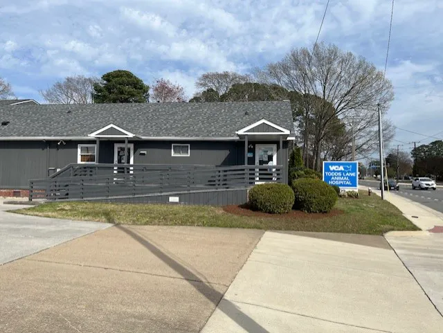 VCA Todds Lane Animal Hospital 5