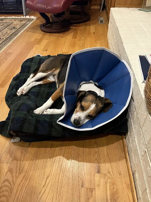 Deer Park Animal Hospital-PADS 12