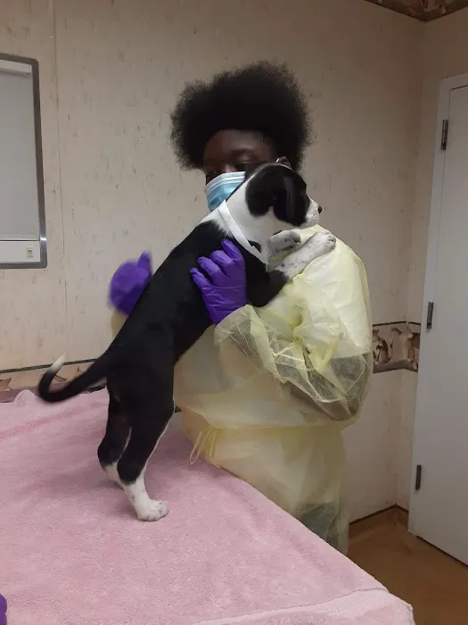 Vetco Total Care Animal Hospital 6