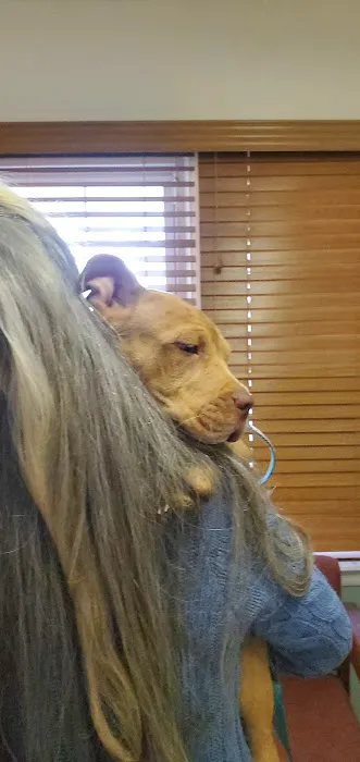 Vetco Total Care Animal Hospital 5