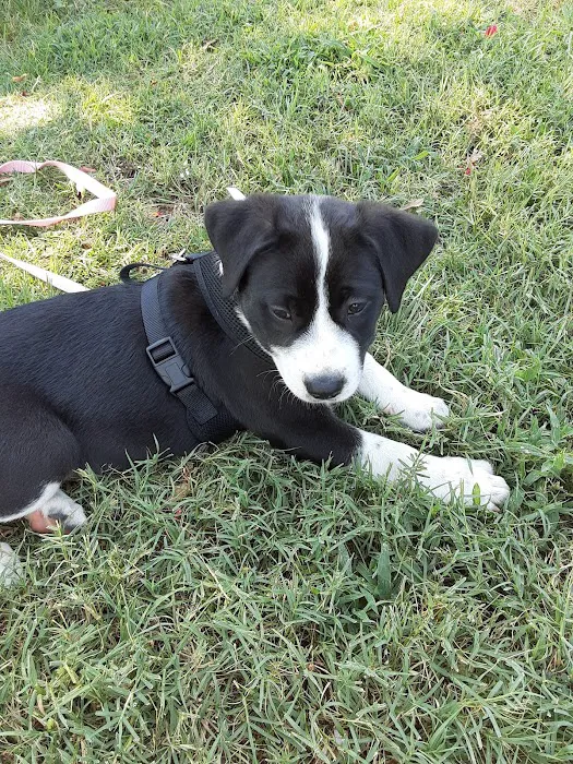 Vetco Total Care Animal Hospital 4