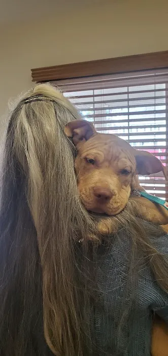 Vetco Total Care Animal Hospital 1