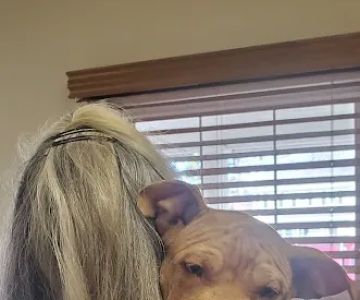 Vetco Total Care Animal Hospital