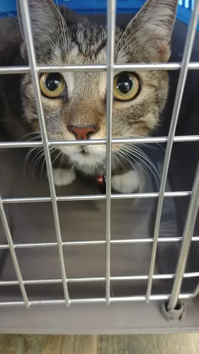 Vetco Total Care Animal Hospital 3
